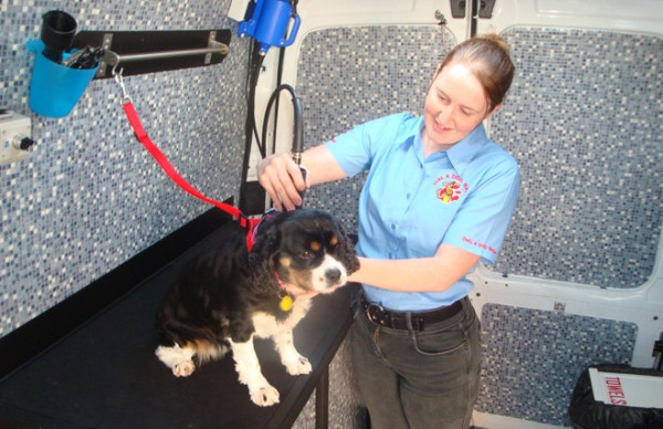Dial a Dog Wash