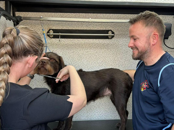 Dial a Dog Wash: Prices and Services