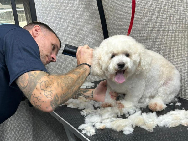 Dial a Dog Wash: Prices and Services